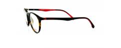 Eyeglasses Carrera 8829V