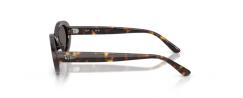 ΓΥΑΛΙΑ ΗΛΙΟΥ RAY BAN 2223