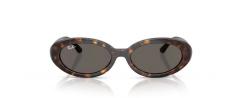 ΓΥΑΛΙΑ ΗΛΙΟΥ RAY BAN 2223