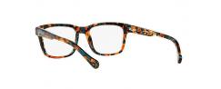 Eyeglasses Arnette  7101