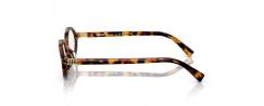 Eyeglasses Miu Miu 01XV
