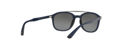 SUNGLASSES RAYBAN 4290