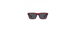 SUNGLASSES RAYBAN 4396