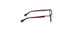 Eyeglasses Ralph Lauren 7082