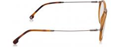 Eyeglasses Carrera 193