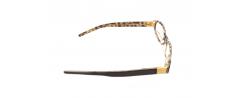 Eyeglasses Dolce & Gabbana 3022B