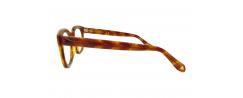 Eyeglasses Epoka Coppola