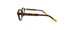Eyeglasses Tipi Diversi 6505