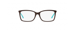 Eyeglasses Michael Kors 8013