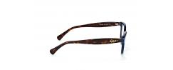 Eyeglasses Ralph Lauren 7084