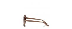 SUNGLASSES JIMMY CHOO AMADA/S