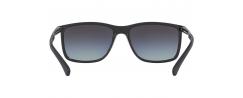 SUNGLASSES EMPORIO ARMANI 4058