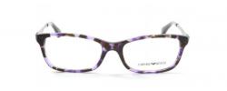 Eyeglasses Emporio Armani 3031