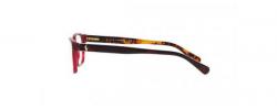 Eyeglasses Polo Ralph Lauren 2127