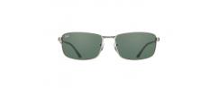 SUNGLASSES RAYBAN 3498