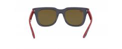 SUNGLASSES RAYBAN 4368