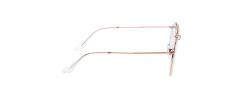 SUNGLASSES RAYBAN 3647N