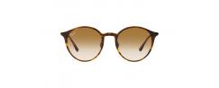 SUNGLASSES RAYBAN 4336