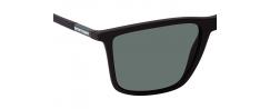 SUNGLASSES EMPORIO ARMANI4161
