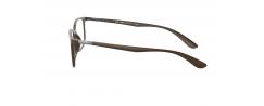 Eyeglasses RayBan 7208