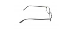 Eyeglasses Polo Ralph Lauren 1395