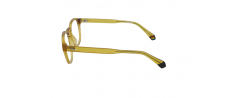Eyeglasses Polaroid D452       
