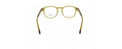 Eyeglasses Polaroid D452       