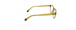 Eyeglasses Polaroid D452       