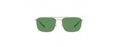 SUNGLASSES ARNETTE 3088