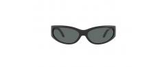 SUNGLASSES ARNETTE 4302