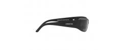 SUNGLASSES ARNETTE 4302