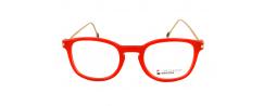 Eyeglasses Brixton BF0049
