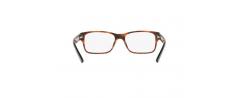 Eyeglasses Polo Ralph Lauren 2117