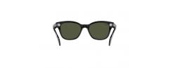 SUNGLASSES RAYBAN 0880S