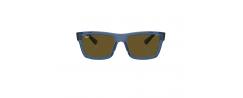 SUNGLASSES RAYBAN 4396
