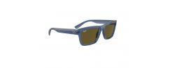SUNGLASSES RAYBAN 4396