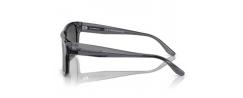 SUNGLASSES EMPORIO ARMANI 4197