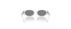 SUNGLASSES RALPH LAUREN 5306