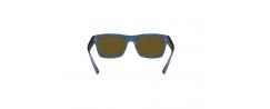 SUNGLASSES RAYBAN 4396