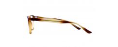 Eyeglasses Carlo Rossi PL17135