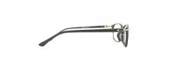 Eyeglasses Franco Ferreti FF0005