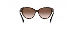 SUNGLASSES EMPORIO ARMANI 4162
