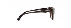 SUNGLASSES EMPORIO ARMANI 4162