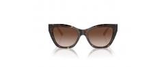 SUNGLASSES EMPORIO ARMANI 4176