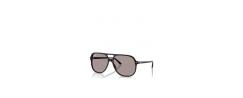 RAY BAN SUN MOD.2198S