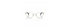 Eyeglasses Swarovski 1002
