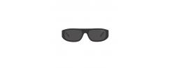 SUNGLASSES ARNETTE 4292