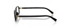 Eyeglasses Miu Miu 01YV