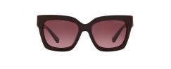 SUNGLASSES MICHAEL KORS 2102 BERKSHIRES