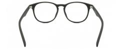 Eyeglasses Polaroid D312